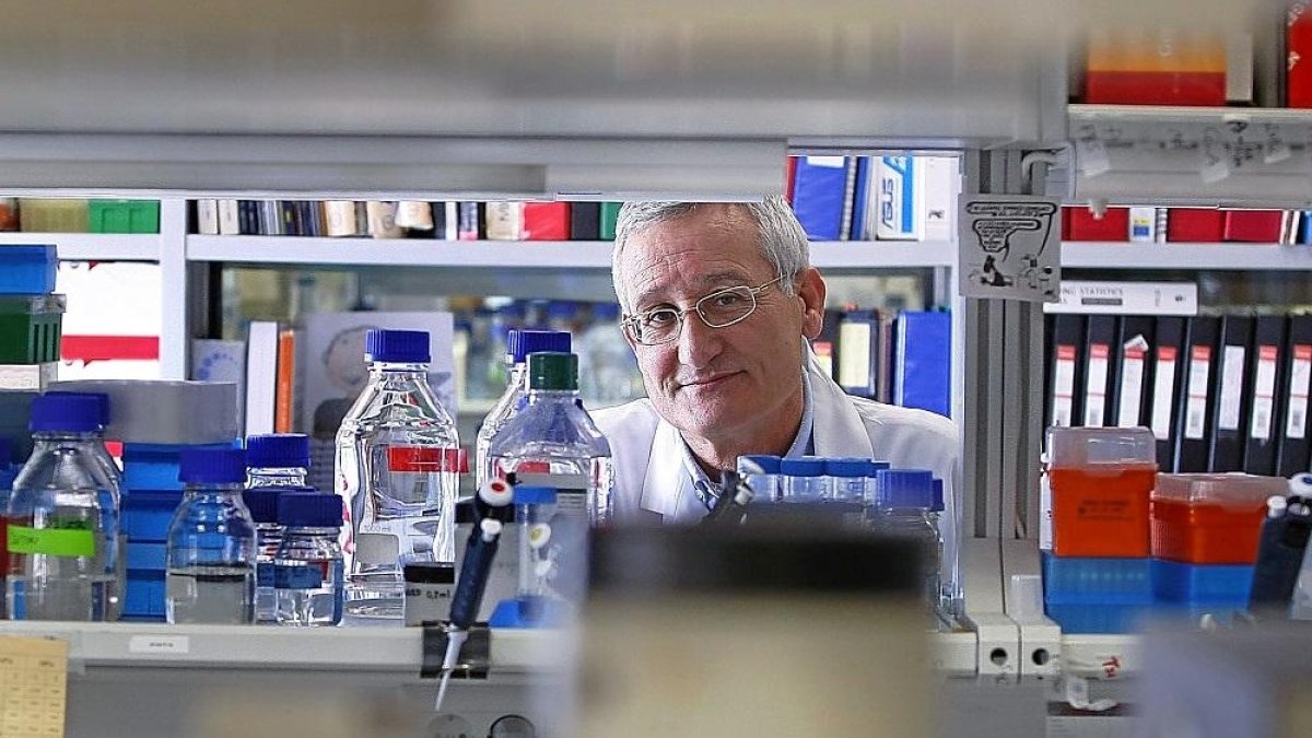 Eugenio Santos, director del Centro de Investigación del Cáncer-ENRIQUE CARRASCAL