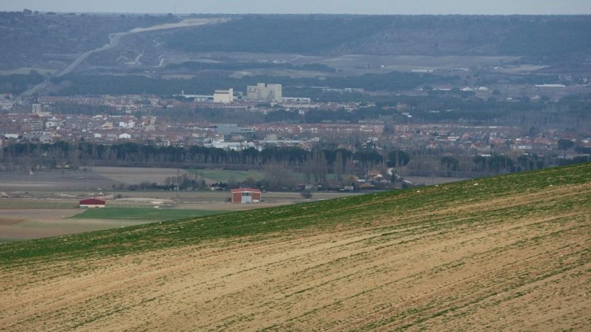 Campos de cereal en la zona del Valle del Esgueva, en Valladolid-ICAL