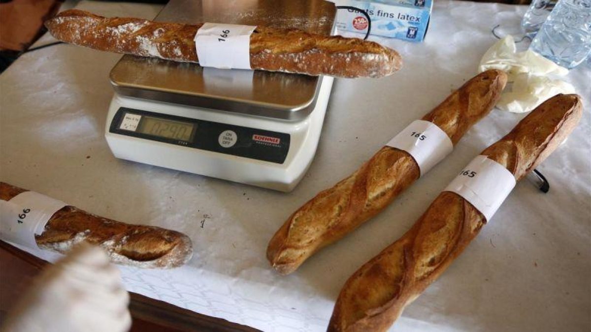 Baguettes en un concurso, en París.-REUTERS / CHARLES PLATIAU