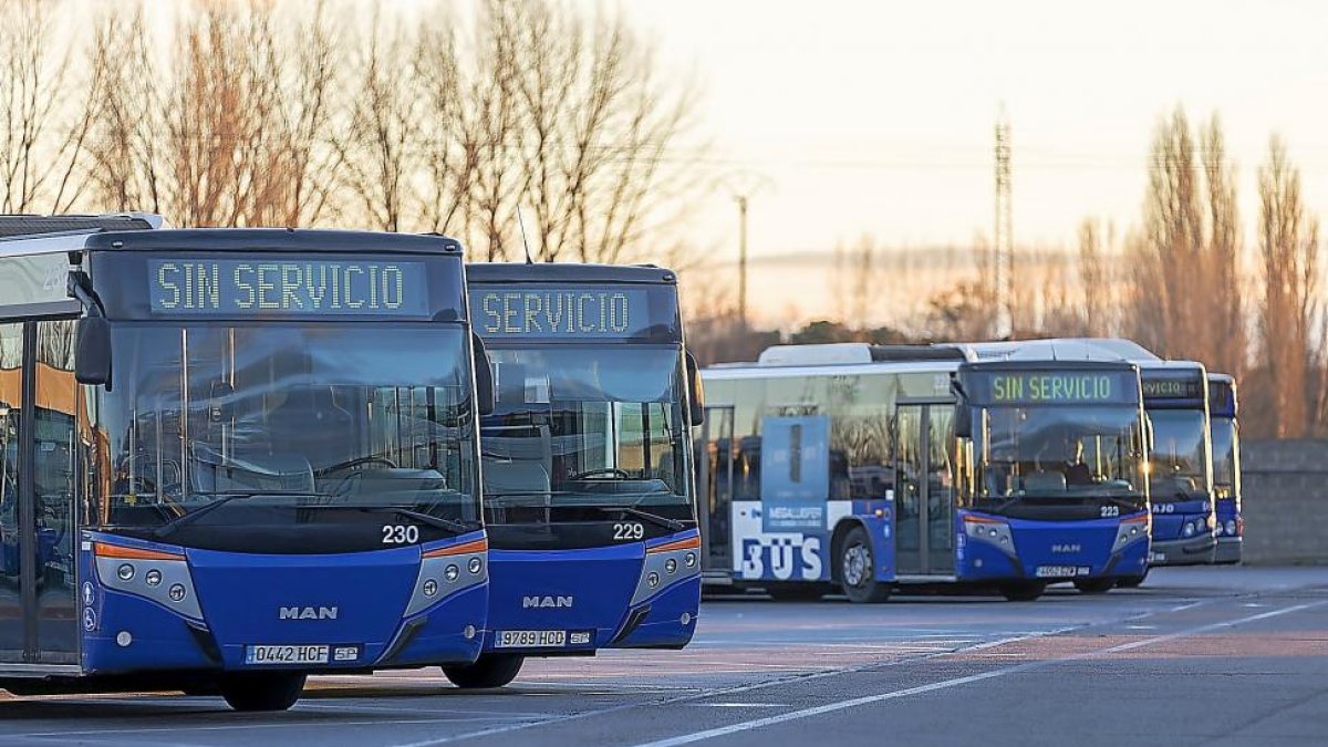 Una flota de autobuses sin servicio.-PABLO REQUEJO