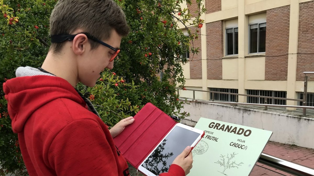 El Centro San Juan de Dios en Valladolid recibe un premio nacional por su Sendero Verde. -ICAL