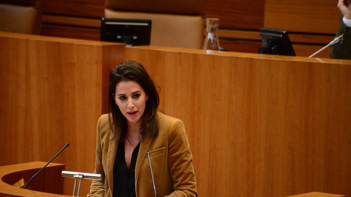 La ex procuradora de Cs, María Montero. - E.M.
