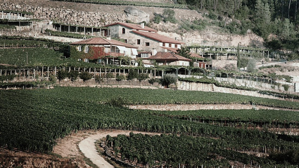 La finca gallega de A Vilerma. E.M.
