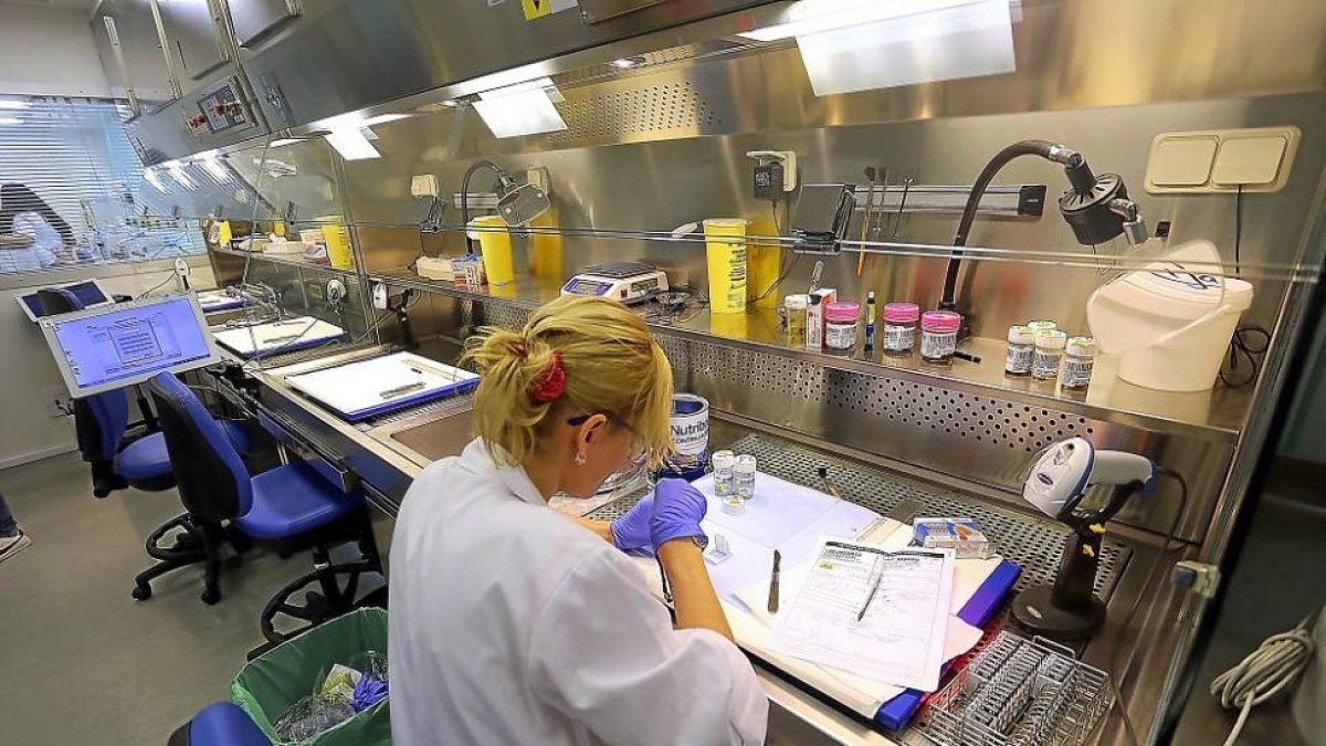 El laboratorio de Anatomía Patológica del Hospital Universitario Clínico de Valladolid.-ICAL