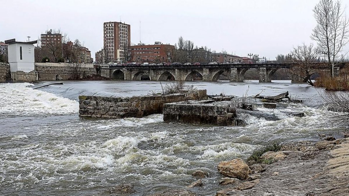 Crecida del Río Pisuerga ayer a su paso por Valladolid, al inicio de la Playa de las Moreras, junto a los restos de Las Aceñas.-PABLO REQUEJO