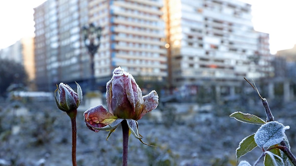 Frío en Valladolid desde La Rosaleda. / JUAN MIGUEL LOSTAU.