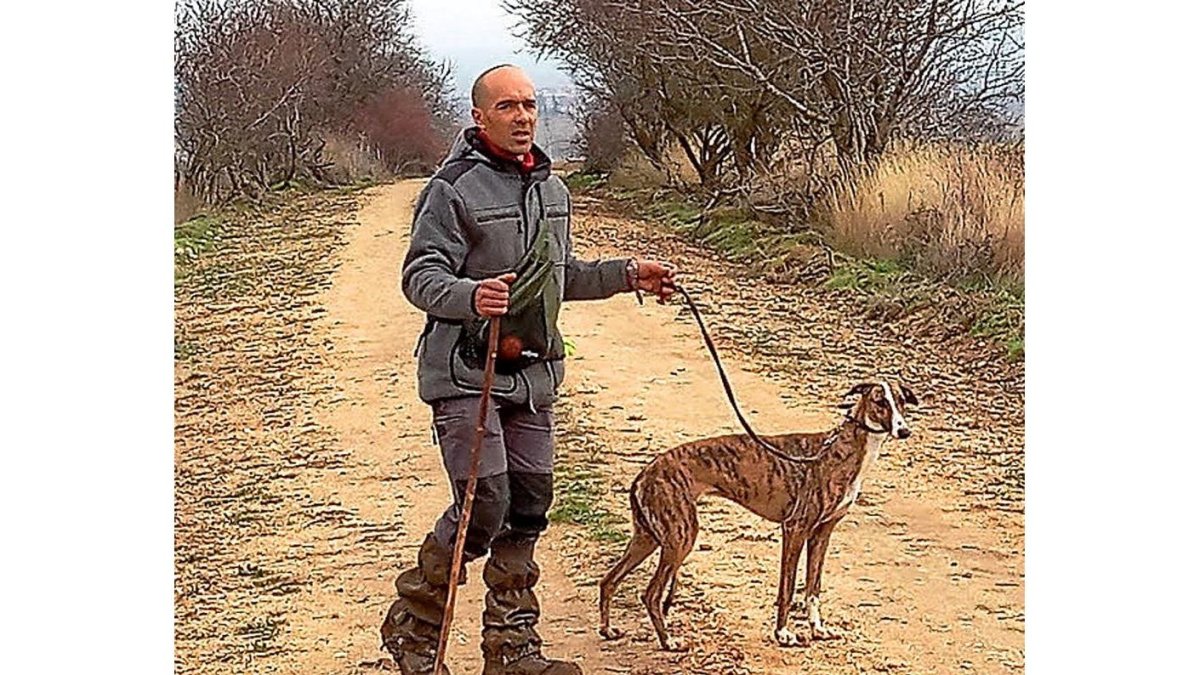 Un aficionado galguero simanquino, con su galgo en busca de liebres, la pasada temporada.-LEONARDO DE LA FUENTE