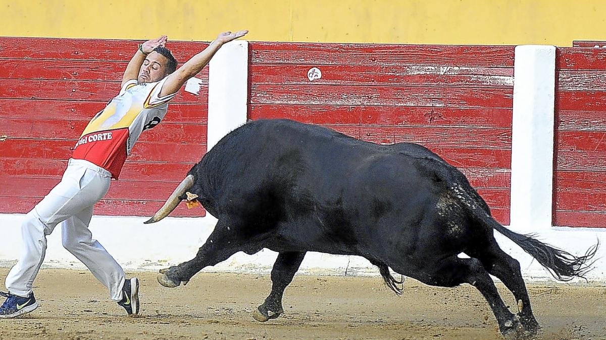 Dany Alonso, el ganador de ‘La Catedral del Corte’ en su actuación en la Plaza de Toros.-PHOTOGENIC