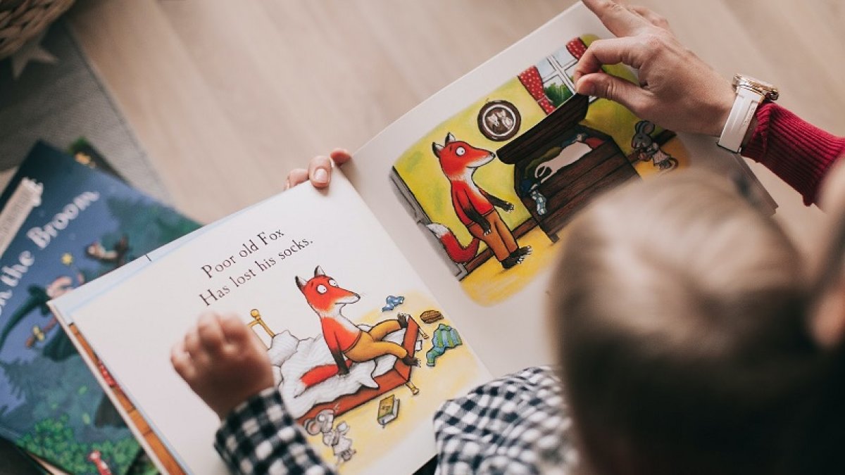 libro ilustración