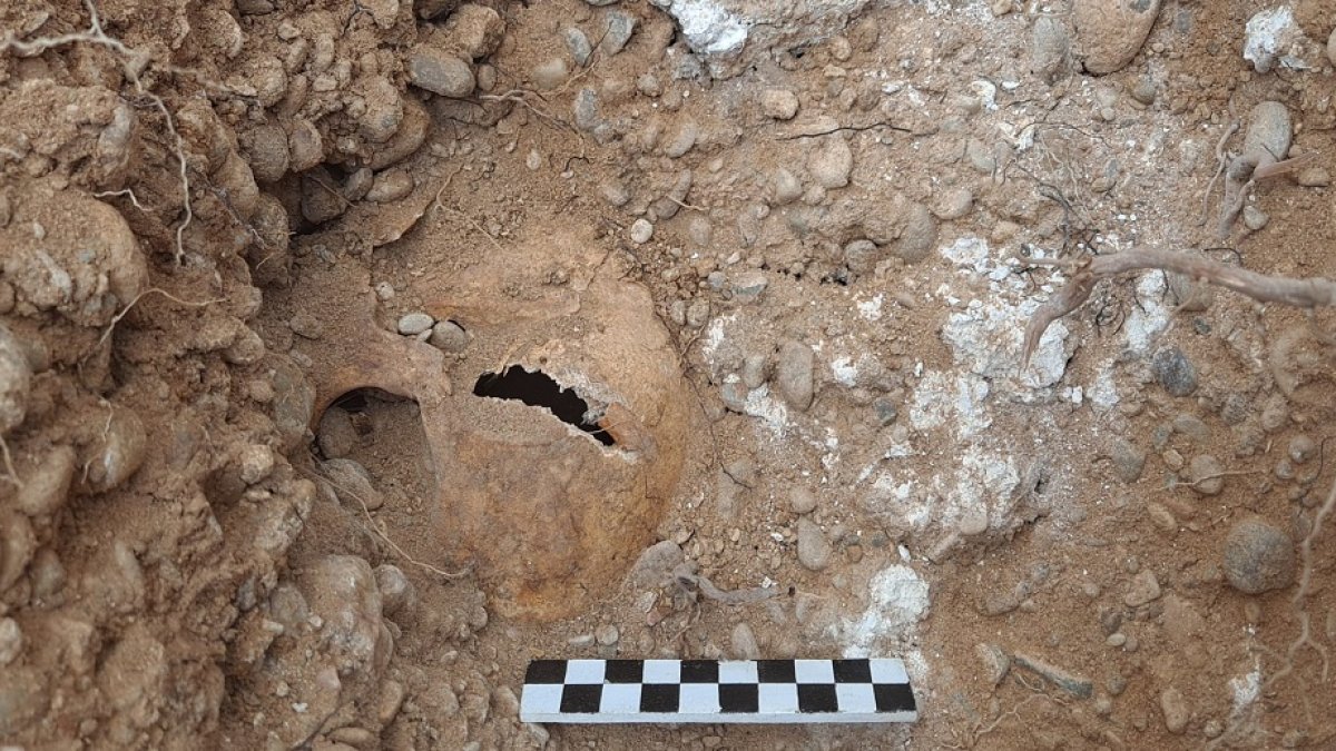 Uno de los cráneos encontrados en la excavación de la fosa del Carmen.- E. M.