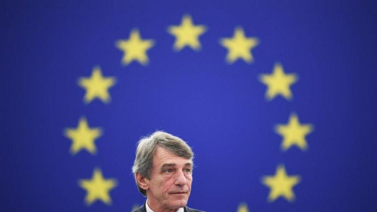 David-Maria Sassoli celebra su elección como presidente de la Eurocámara.-EFE