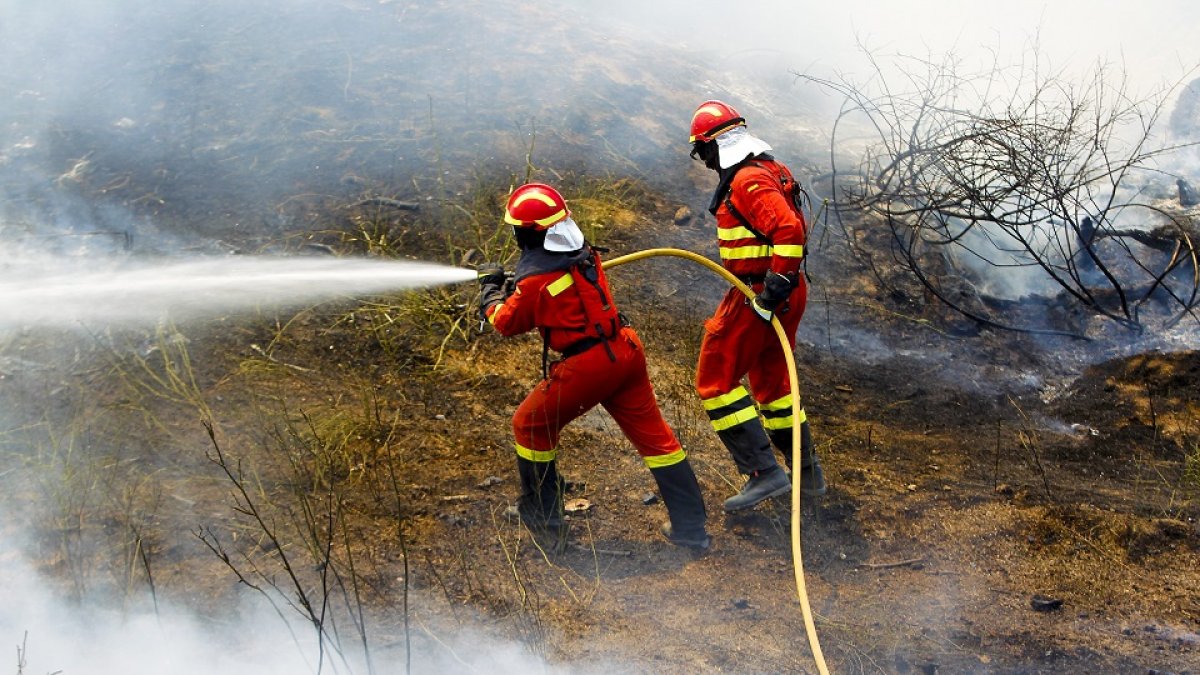 Dos efectivos de la Junta tratan se sofocar un incendio en Ávila. E. M.