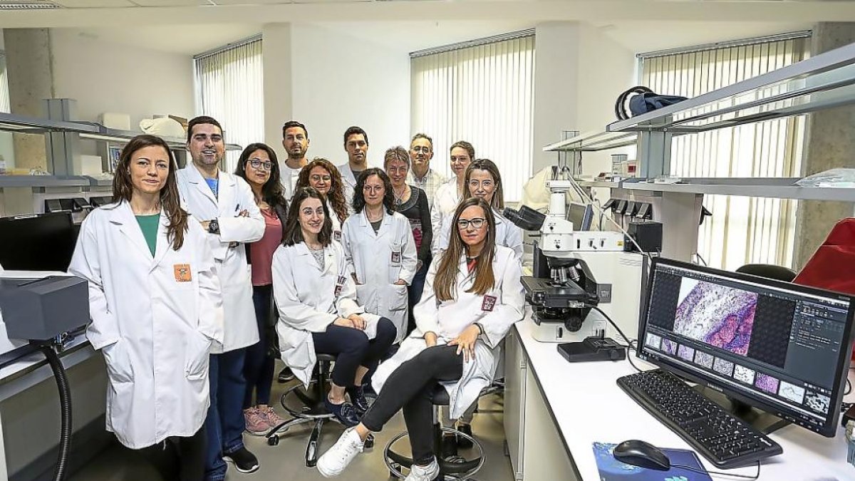 Miembros del grupo Bioforge de la Universidad de Valladolid en el edificio LUCIA.-PHOTOGENIC / MIGUEL ÁNGEL SANTOS