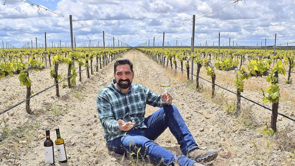 Emilio Pita, en su viñedo ecológico de verdejo de la finca La Cantera, situado a pocos metros de la bodega.-ARGICOMUNICACIÓN