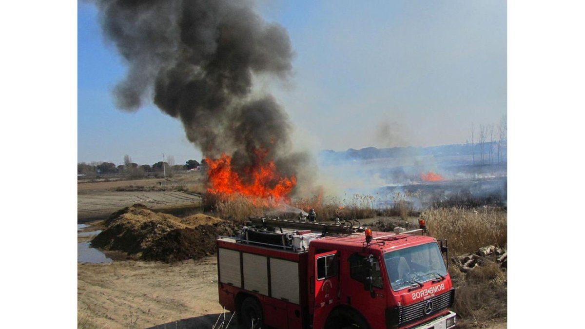 Una dotación de bomberos en la extinción de un fuego en un rastrojo.-E. M.