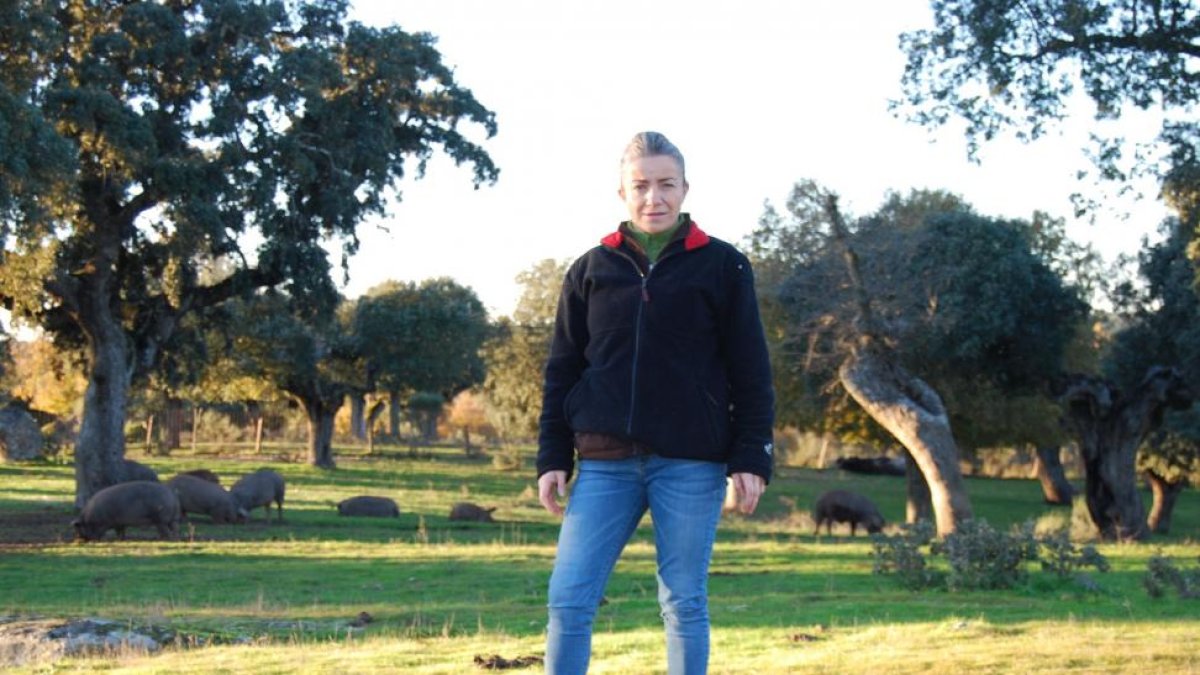 Teresa Rodríguez con sus animales en Gallegos de Argañán (Salamanca), en plena montanera.-E.M.