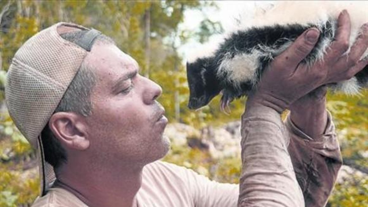 Frank Cuesta 'interactúa' con una mofeta, durante la grabación de 'Wild Frank'.-DISCOVERY MAX