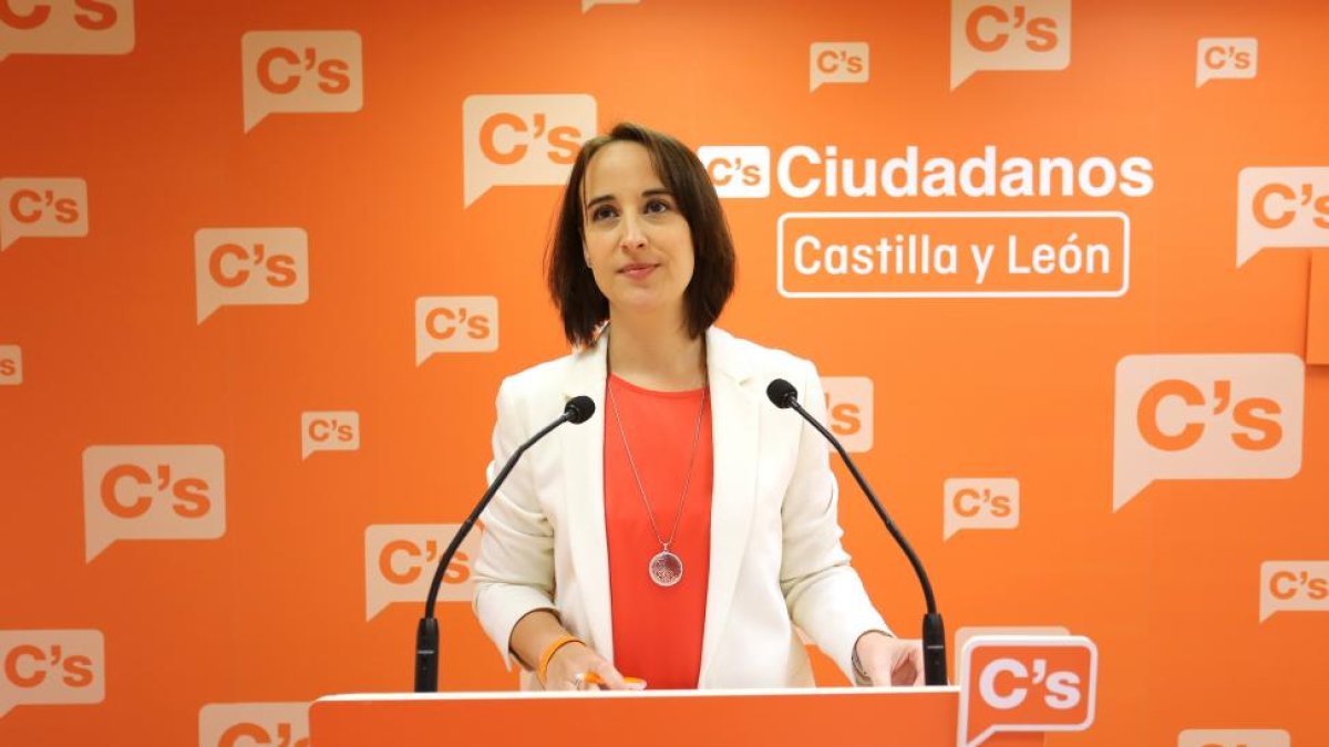 Imagen de la concejala de Ciudadanos, Pilar Vicente-ICAL