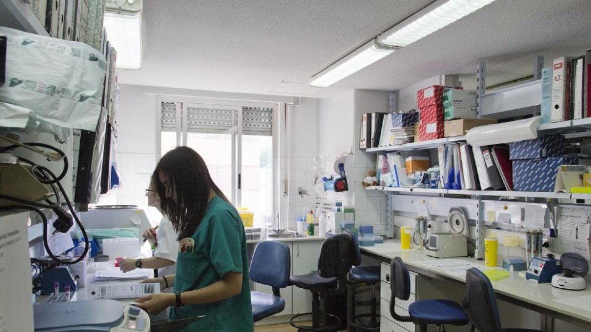 Imagen de uno de los laboratorios del Instituto de Investigación Biomédica de Salamanca, Ibsal.-ICAL