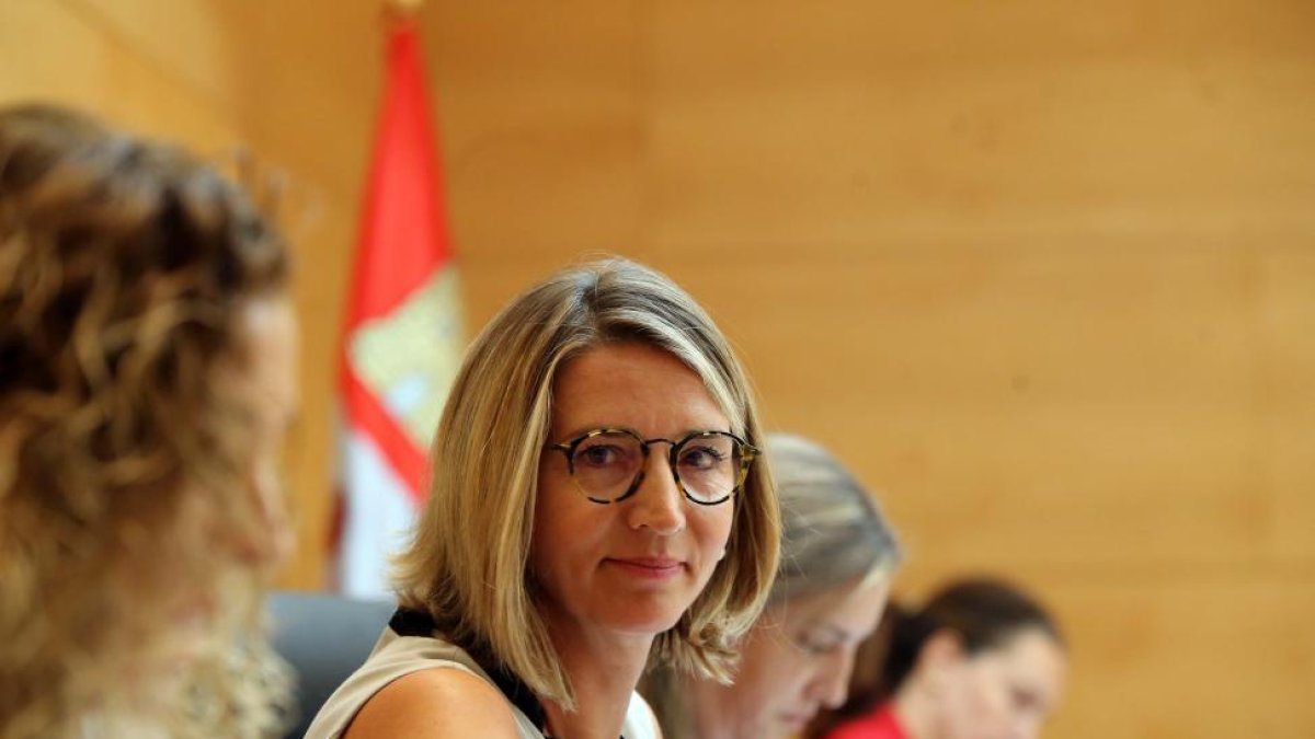 Alicia García durante la comparecencia.-ICAL