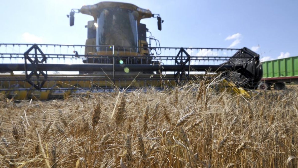 Terreno de una explotación de cultivo de cereal en la provincia de Soria.-V.G.
