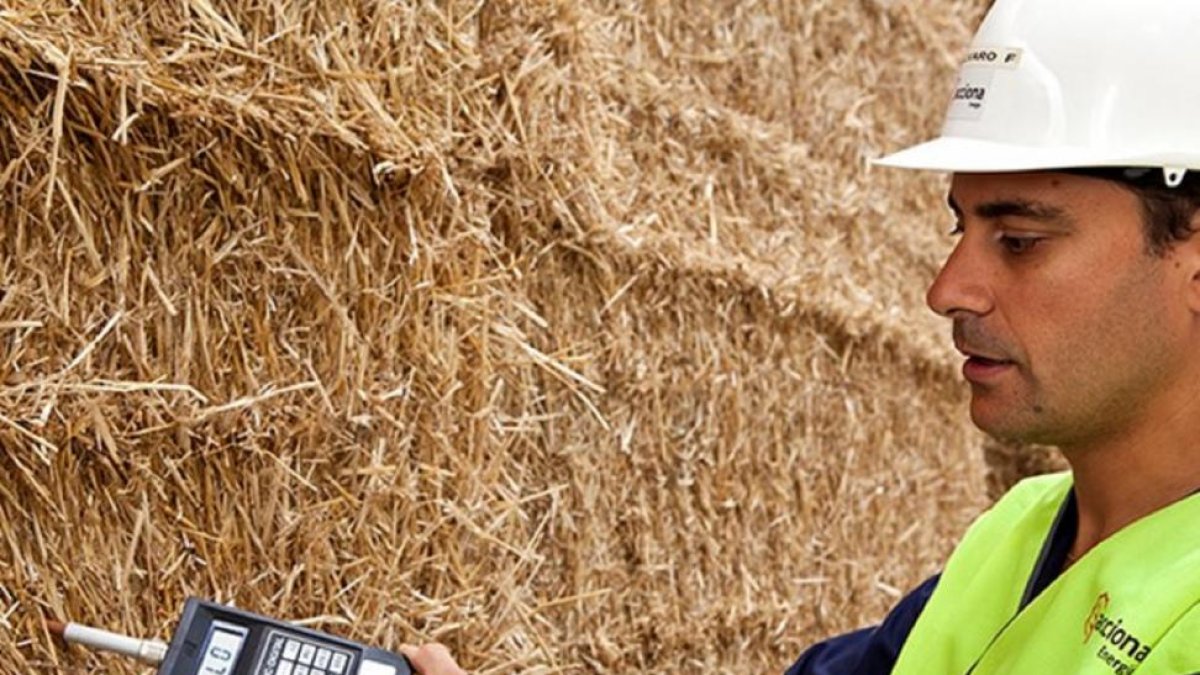 Un operario de la planta de biomasa de Briviesca realiza controles sobre varios fardos de paja de cereal.-ACCIONA