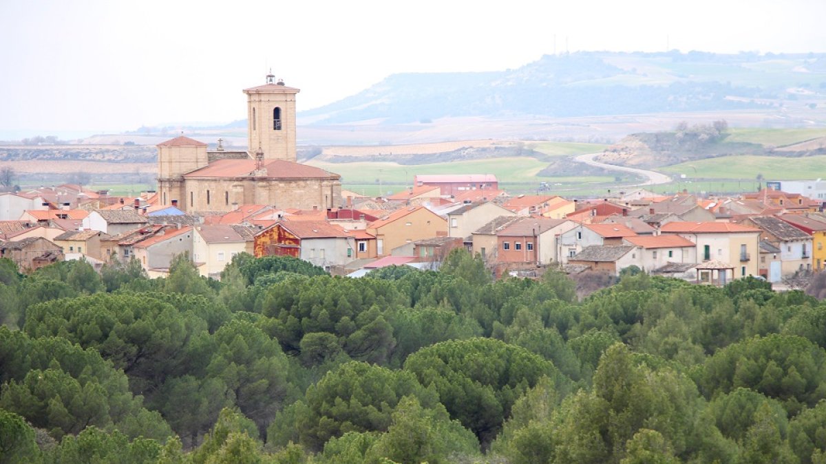 Pesquera de Duero. - E.M.