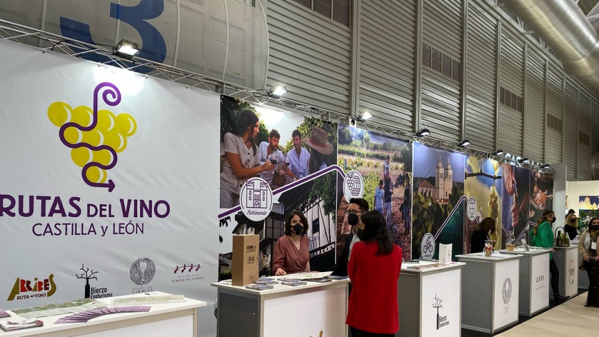 Stands de la Feria Internacional de Enoturismo celebrada en la Feria de Valladolid.- E.M.