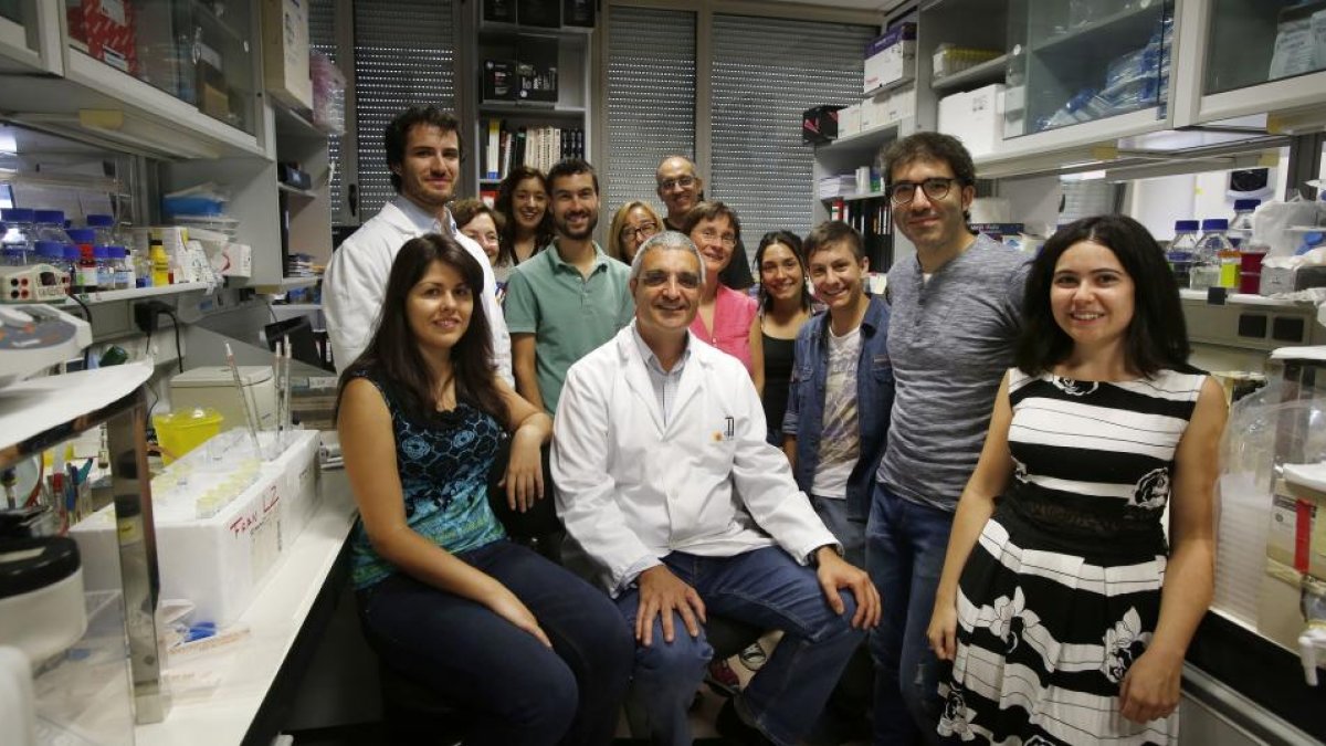Miembros del equipo del investigador Xosé Bustelo en el Centro del Cáncer de Salamanca.-ENRIQUE CARRASCAL