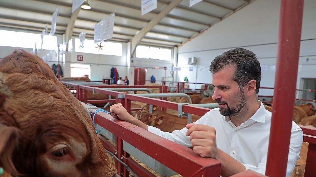 Luis Tudanca, en la feria de Salamaq.-ICAL