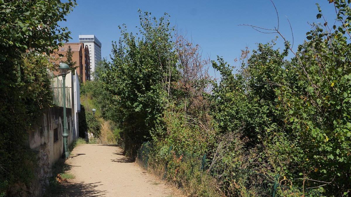 Senda que conduce al  antiguo palacio de la Ribera, en l margen derecha del río,  frente a la playa de Las Moreras.- PHOTOGENIC