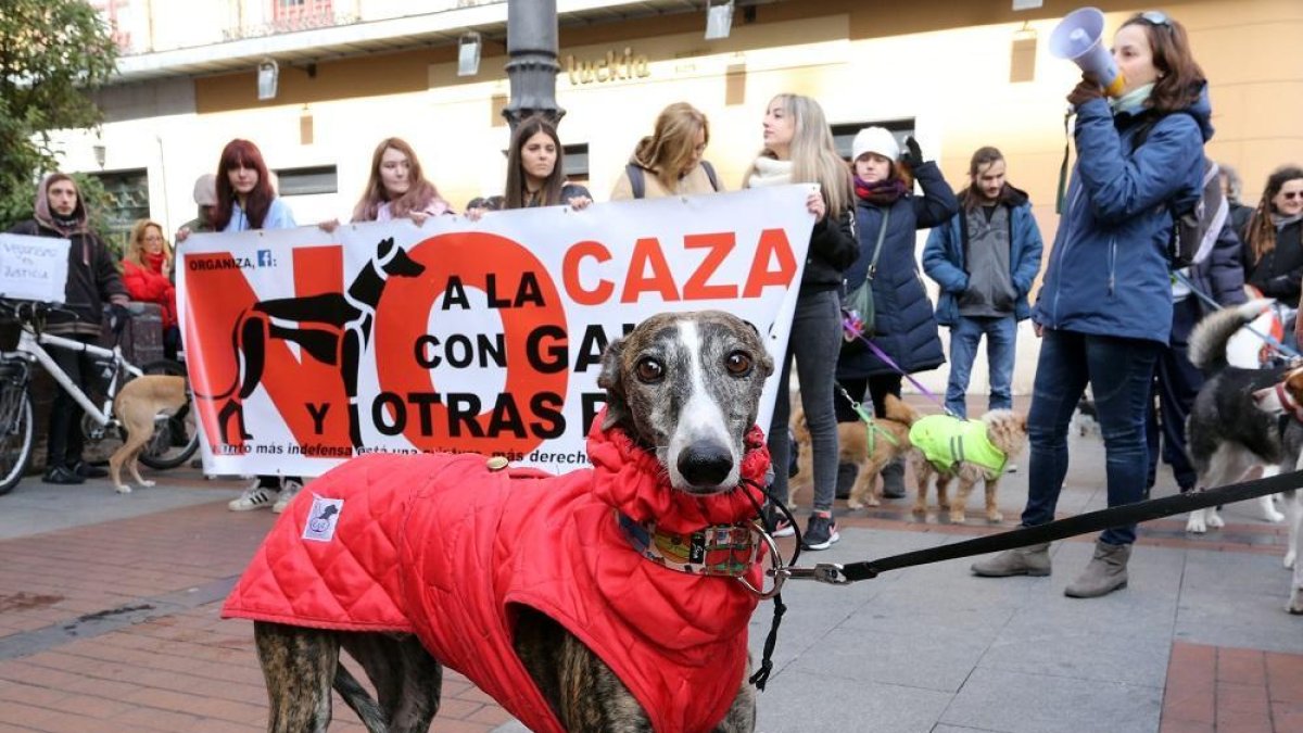 Manifestación contra el maltrato animal y la caza en febrero del 2019 en Valladolid.-ICAL - ARCHIVO
