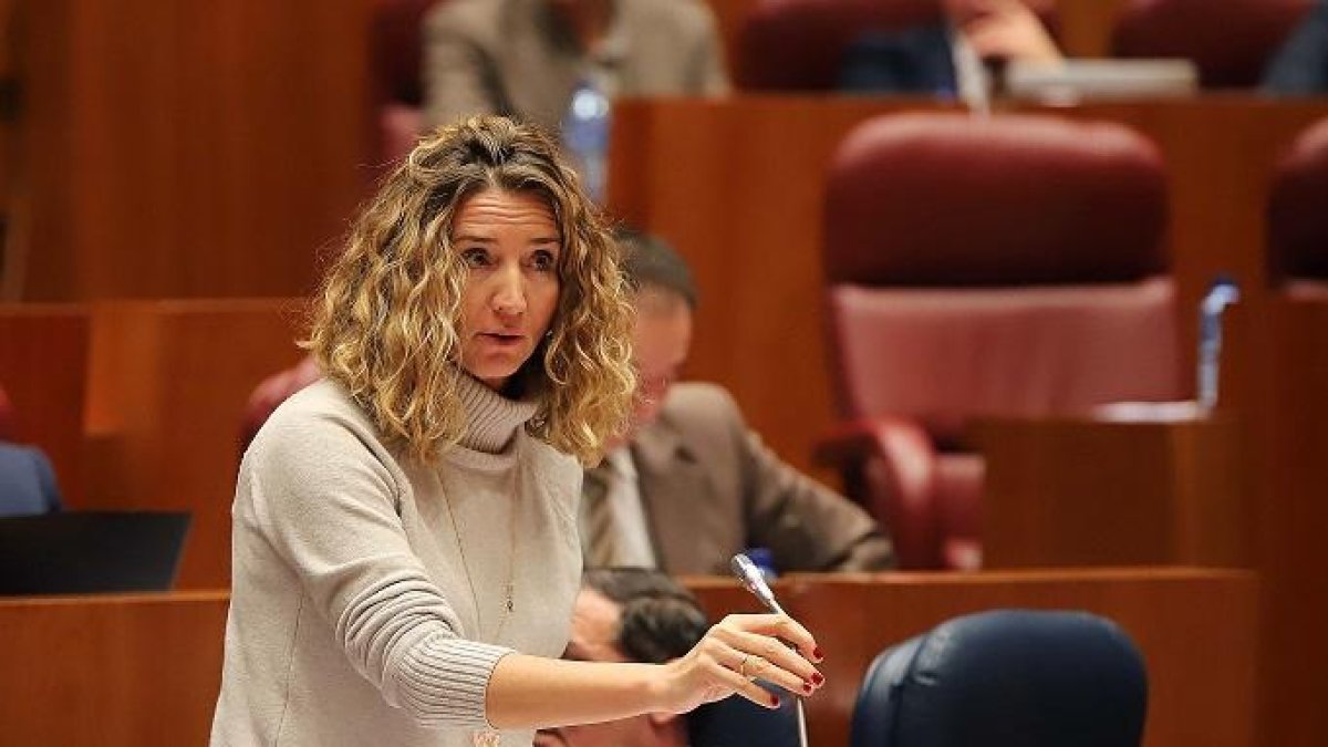 Alicia García durante una intervención en las Cortes.-ICAL