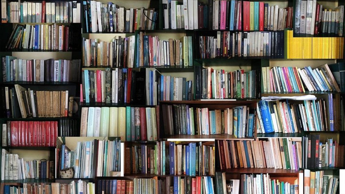 En busca del libro escondido-E.M