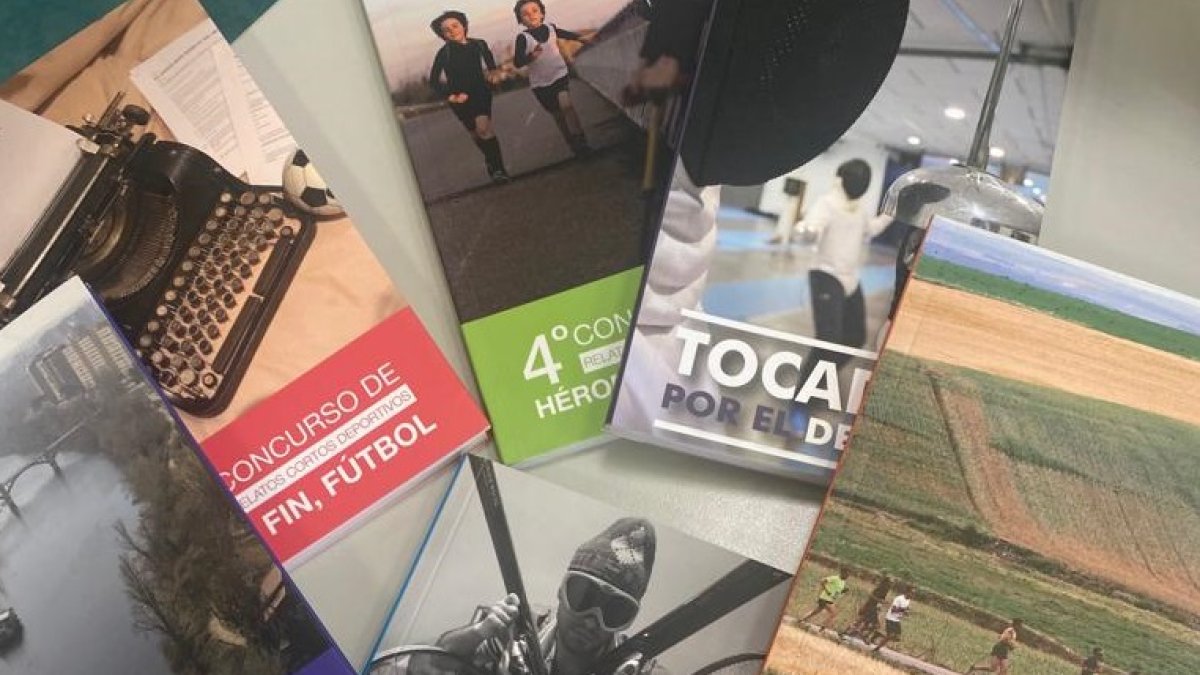 Portadas de libros editados con el Concurso de Relatos cortos Deportivos de la APDV. / EM