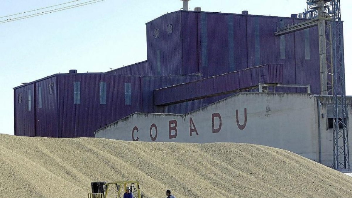 Dos operarios trabajando en las instalaciones de la cooperativa Cobadu en Zamora.-E.M.