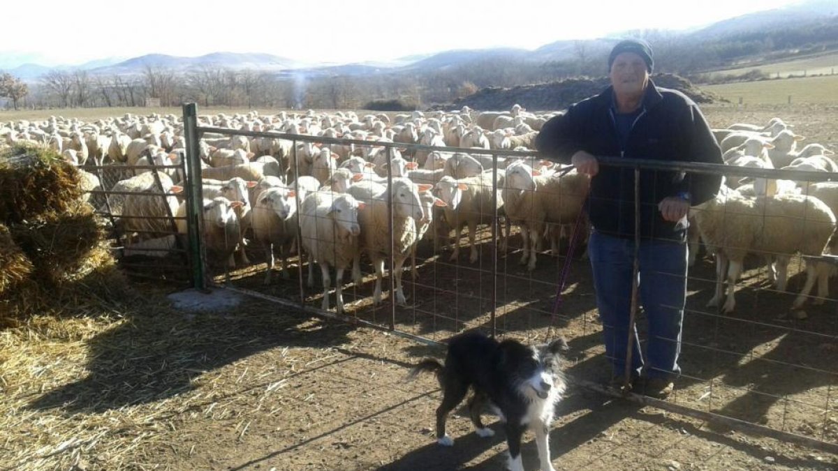 El ganadero José Pintos con su ganado en el municipio abulense de Santa María del Cubillo.-E.M.