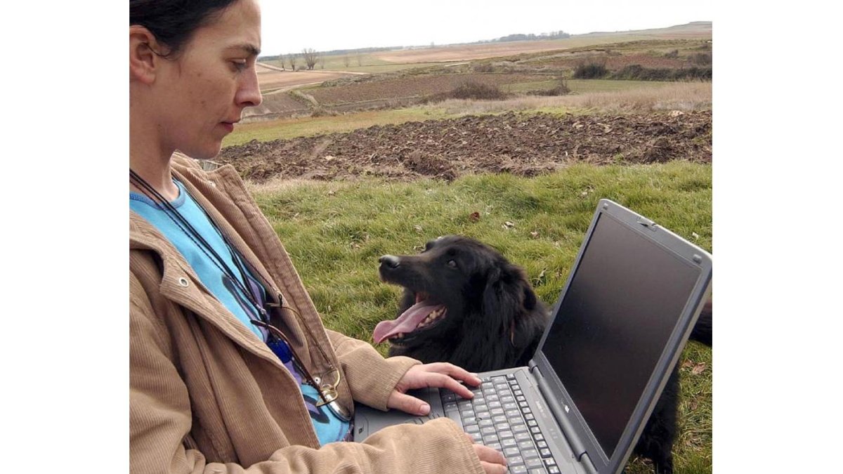 Una mujer intenta acceder a internet en la zona rural de la provincia de Soria.-ICAL