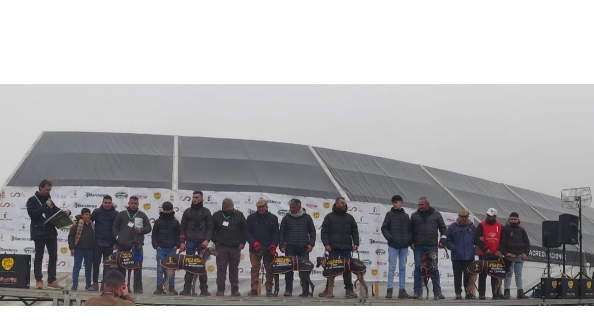 Las ocho galgas que hoy deberían haber corrido en Bacience el nacional de galgo. / E.M.