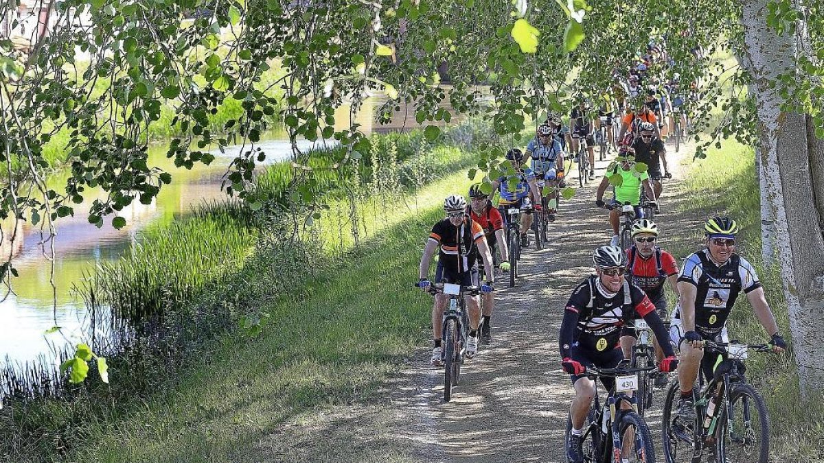 Marcha cicloturista por los caminos de sirga del Canal de Castilla celebrada el pasado mes de junio.-ICAL