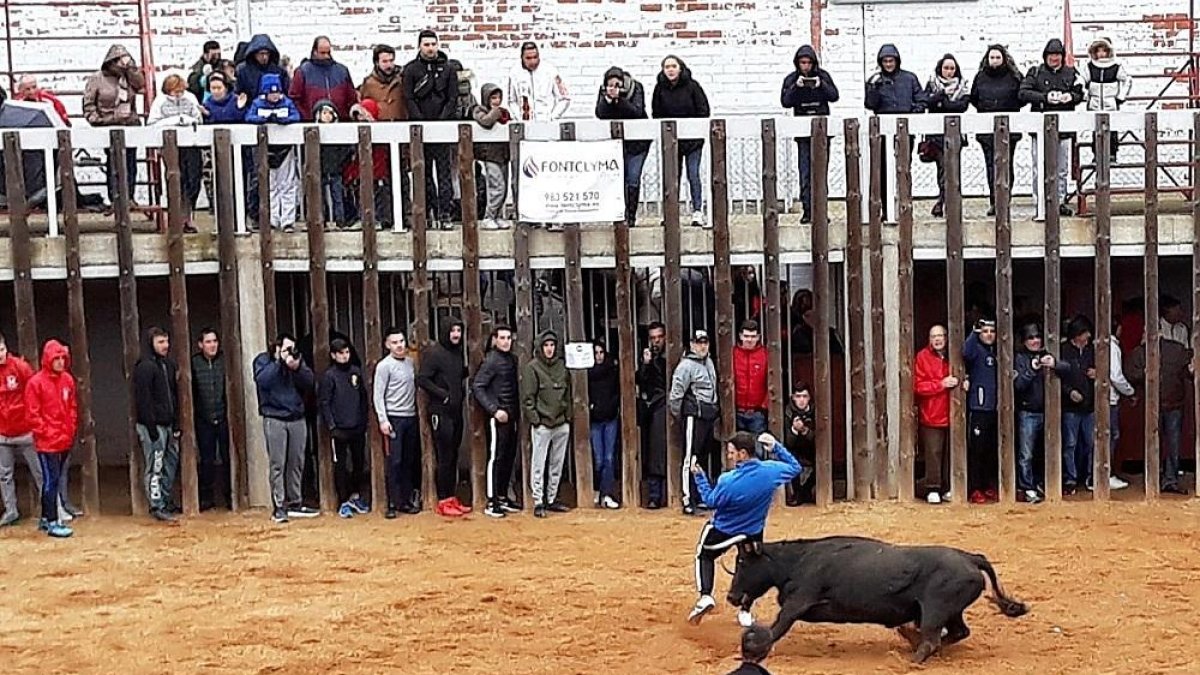 Un joven recorta a un astado ante la mirada del público.-E.M.
