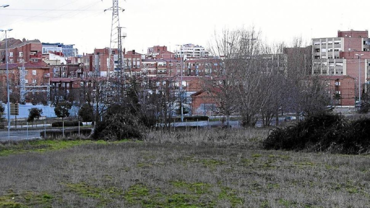 Parcela situada frente al Centro de Menores Zambrana-J.M.Lostau
