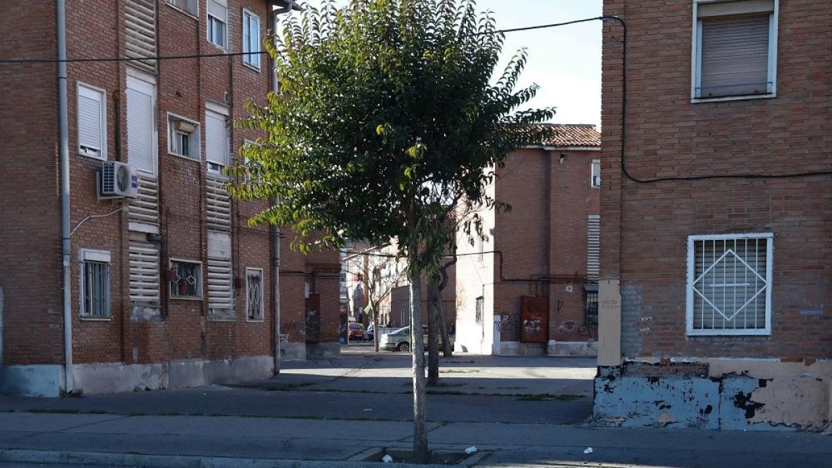 Imagen del barrio de Las Viudas.-J.M. LOSTAU