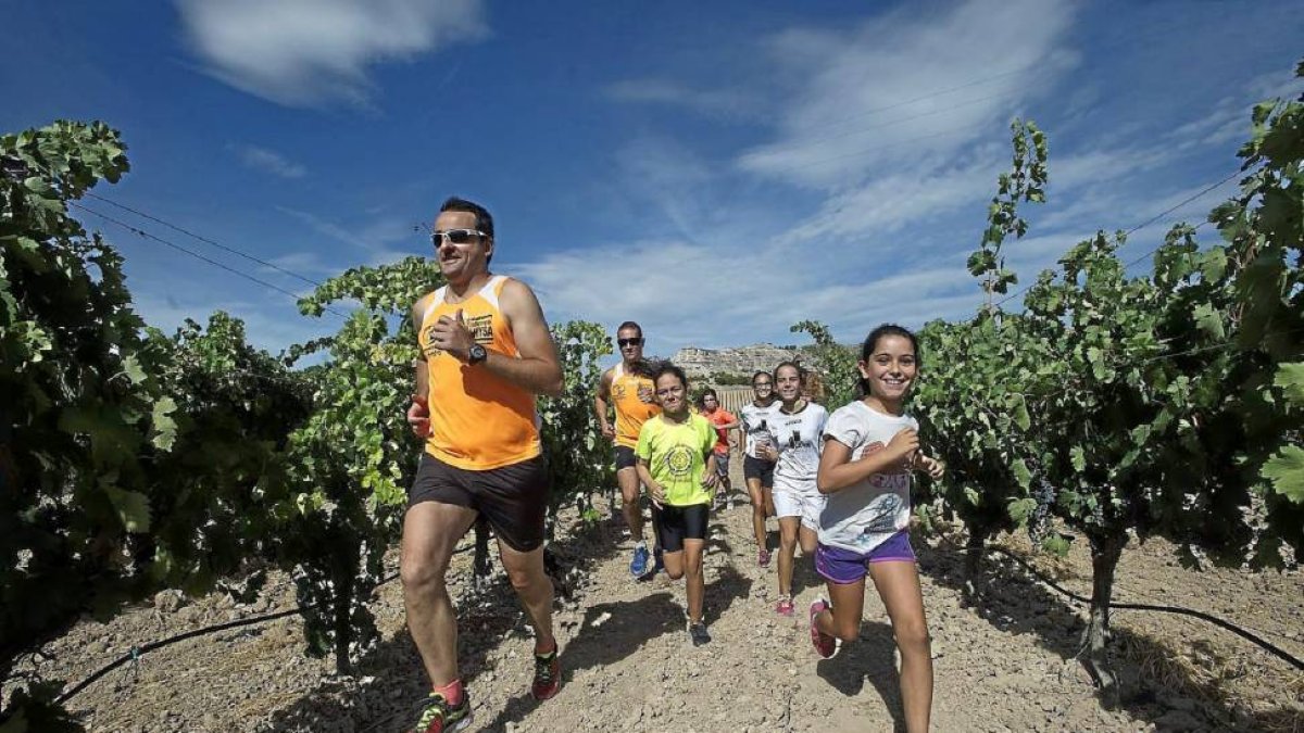 Varios atletas corren entre viñedos de la provincia de Valladolid, protagonistas del circuito