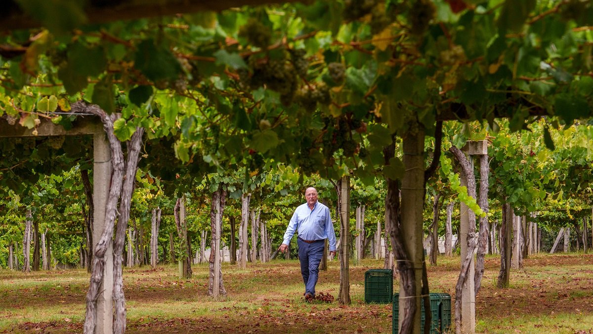 Carlos Moro en Viña Caeira. - E.M.