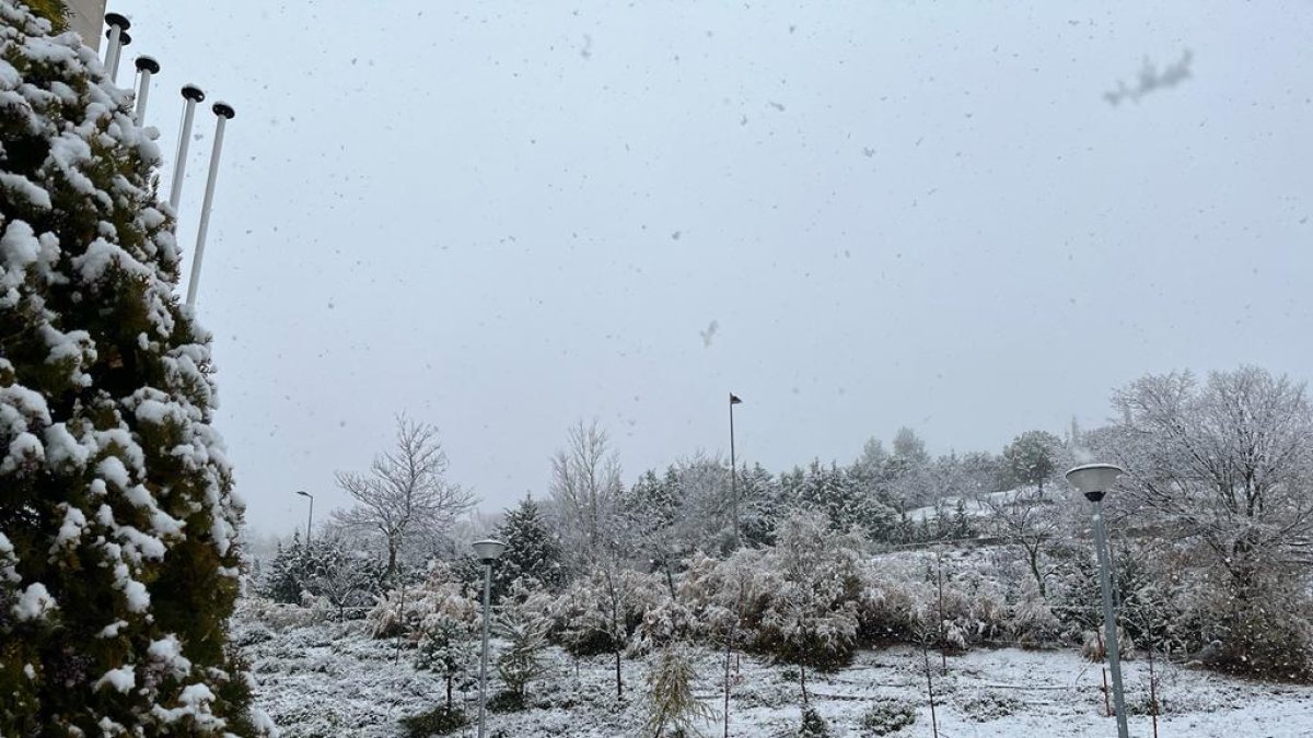 Valladolid bajo la nieve. - EM