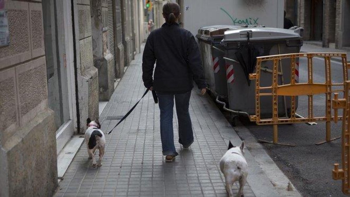 Un hombre pasea a dos perros por la calle.-