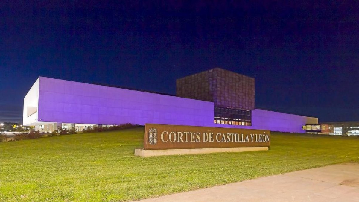 Las Cortes se iluminan en apoyo a las mujeres.-Pablo Requejo