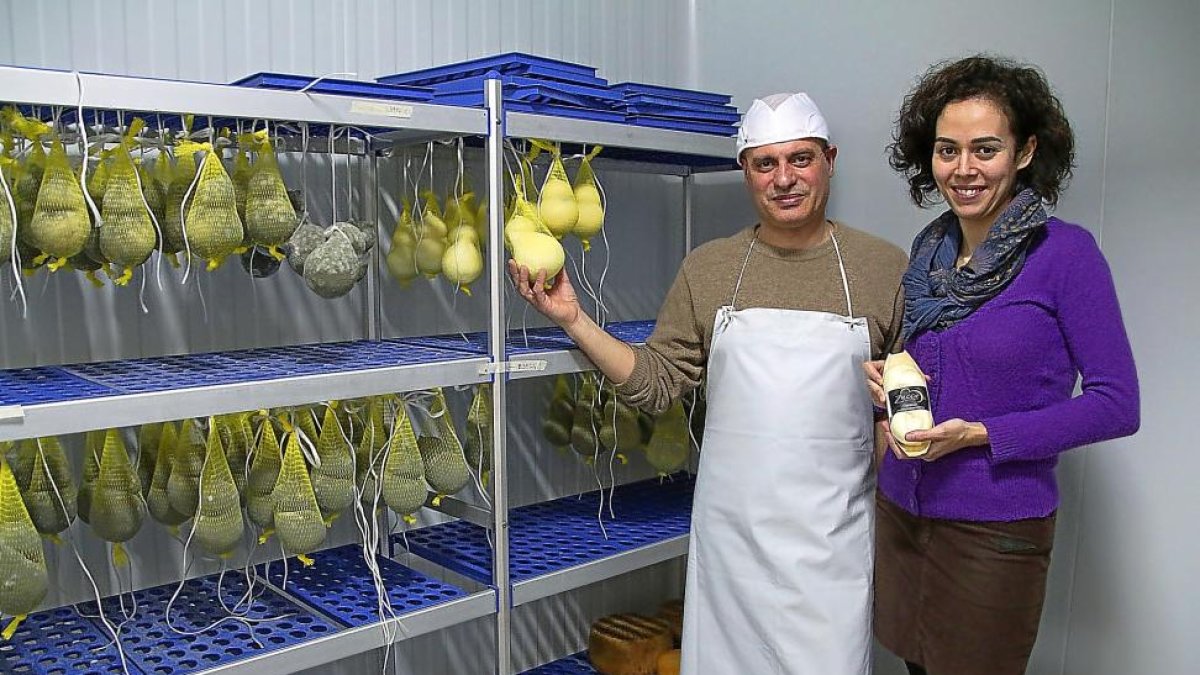 Salvatore Voccia y Ana Vaquero muestran los quesos calabaza (zucca) y de trenza en la cámara de curación de la quesería, en Portillo (Valladolid).-MAR TORRES