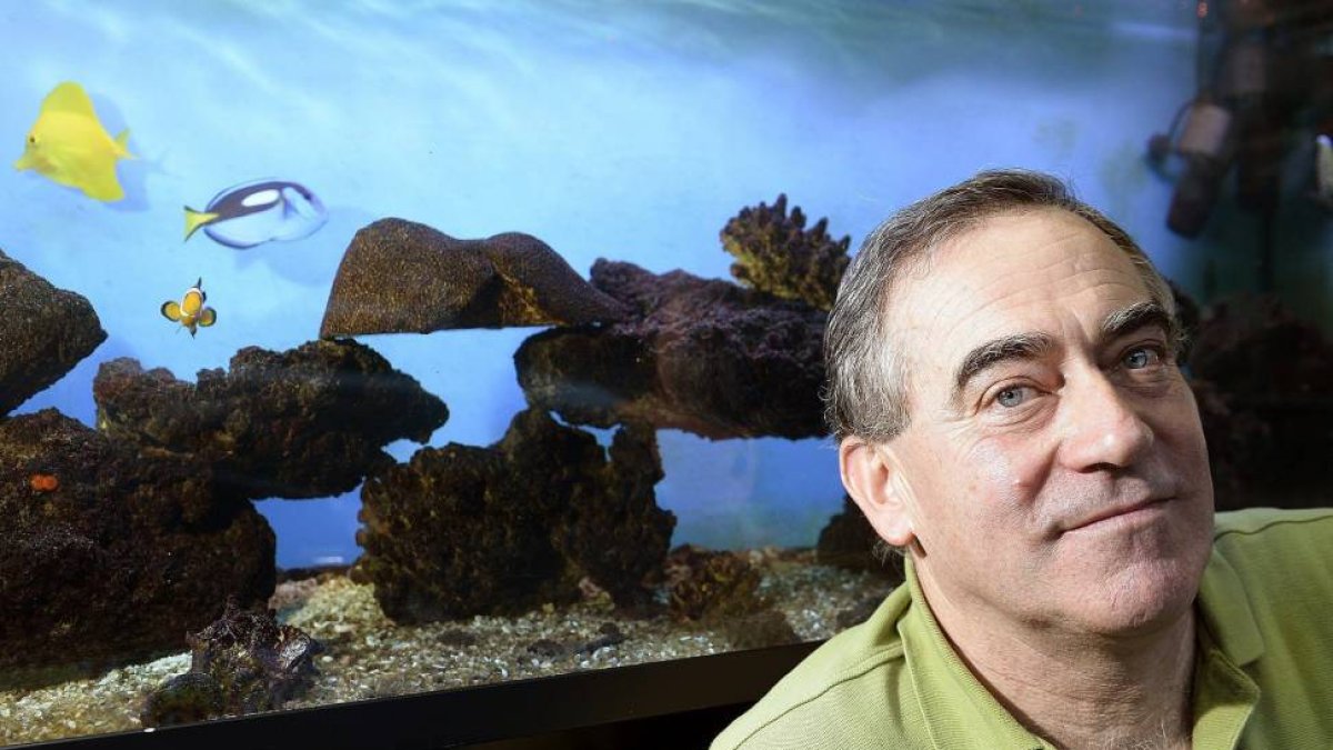 Juan José Bueno, director de la Muestra de Cine Submarino de Valladolid, un referente para los amantes del mundo bajo el agua, y que este año celebra la 27 edición con la presencia de destacados directores de este tipo de cine-Nacho Gallego